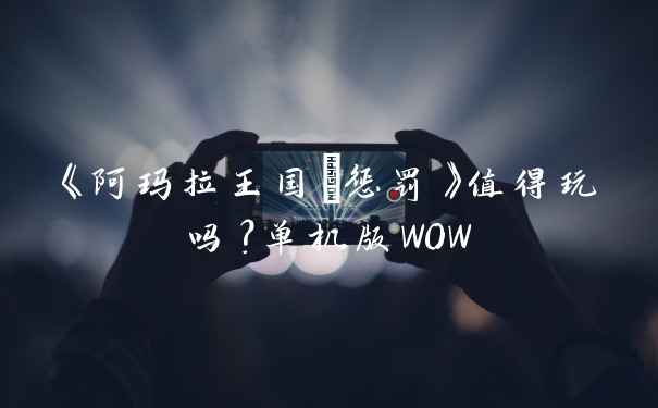 《阿玛拉王国:惩罚》值得玩吗？单机版WOW