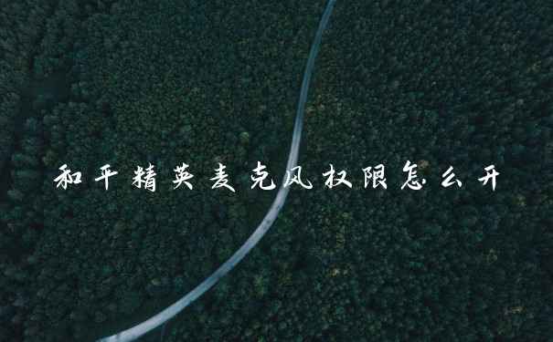 和平精英麦克风权限怎么开