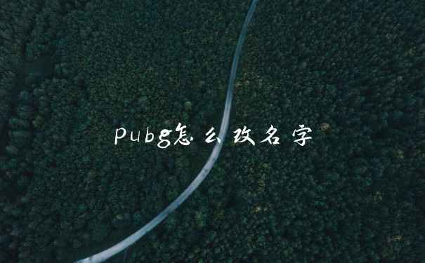 pubg怎么改名字