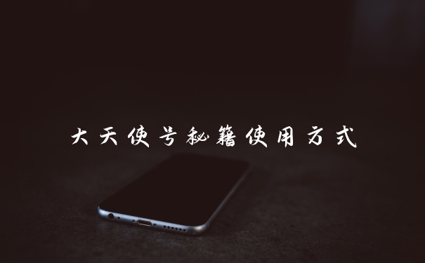 大天使号秘籍使用方式