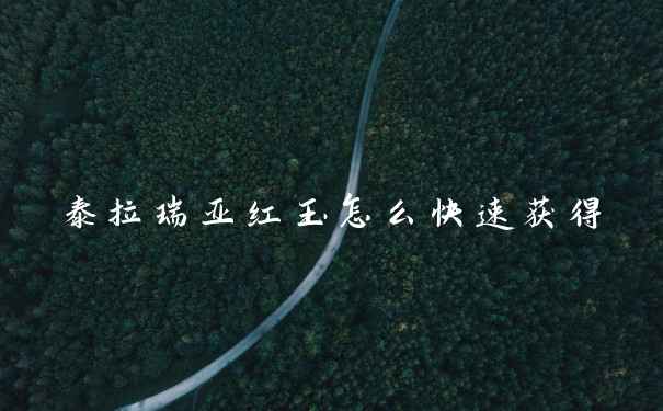 泰拉瑞亚红玉怎么快速获得