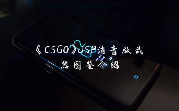 《CSGO》USP消音版武器图鉴介绍