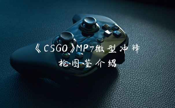《CSGO》MP7微型冲锋枪图鉴介绍