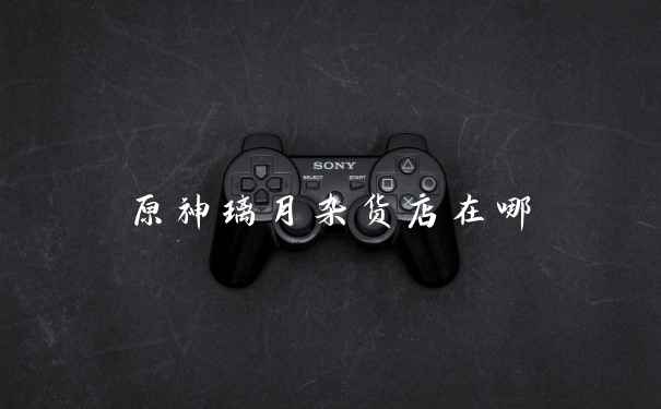 原神璃月杂货店在哪