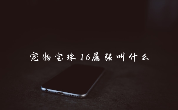 宠物宝珠16属强叫什么