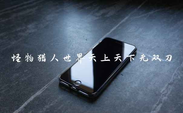 怪物猎人世界天上天下无双刀