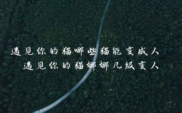 遇见你的猫哪些猫能变成人 遇见你的猫娜娜几级变人