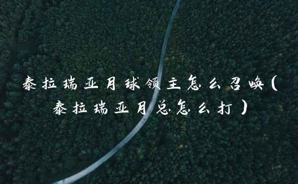 泰拉瑞亚月球领主怎么召唤（泰拉瑞亚月总怎么打）