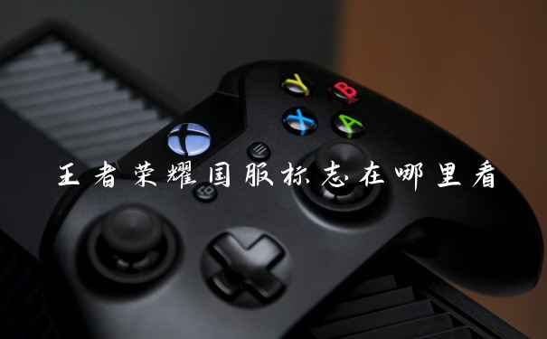 王者荣耀国服标志在哪里看