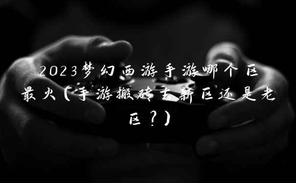 2023梦幻西游手游哪个区最火(手游搬砖去新区还是老区?)