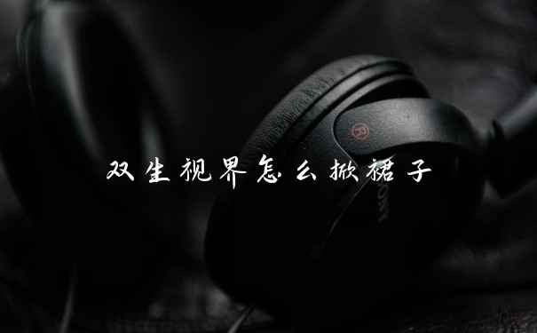 双生视界怎么掀裙子