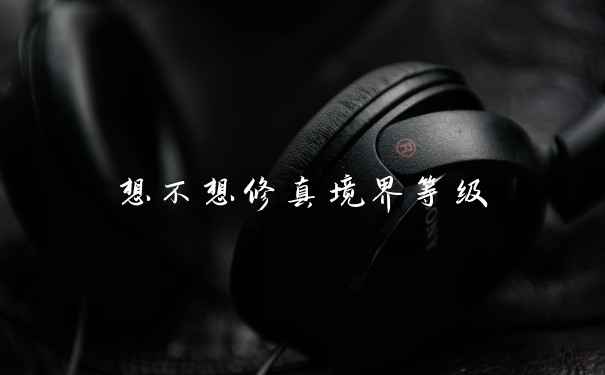想不想修真境界等级
