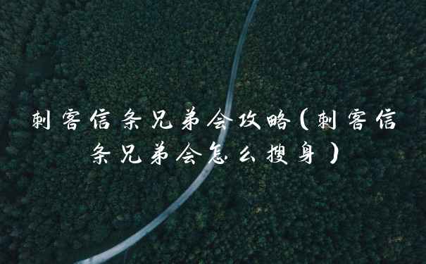 刺客信条兄弟会攻略（刺客信条兄弟会怎么搜身）