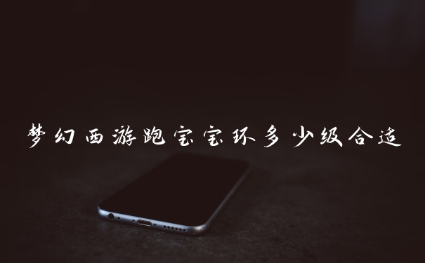 梦幻西游跑宝宝环多少级合适