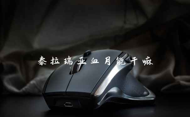 泰拉瑞亚血月能干嘛