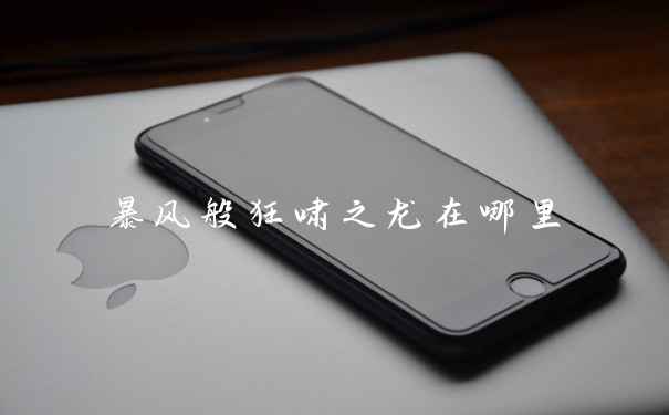 暴风般狂啸之龙在哪里