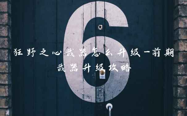 狂野之心武器怎么升级-前期武器升级攻略