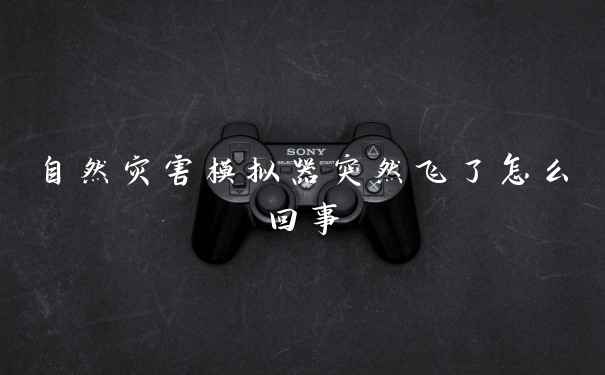 自然灾害模拟器突然飞了怎么回事