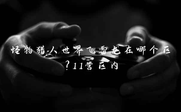怪物猎人世界飞雷龙在哪个区？11营区内