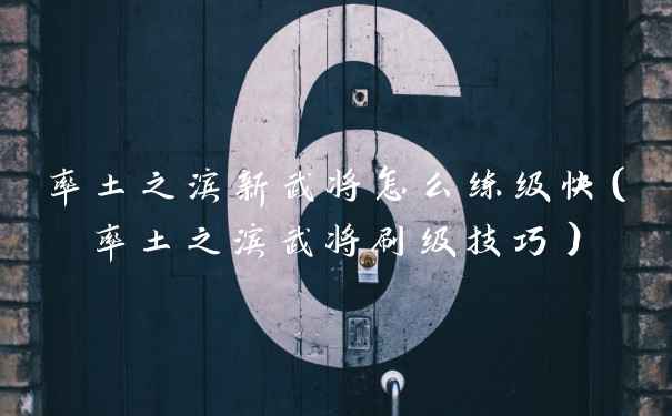 率土之滨新武将怎么练级快（率土之滨武将刷级技巧）
