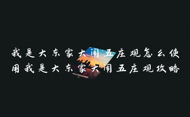 我是大东家大闹五庄观怎么使用我是大东家大闹五庄观攻略