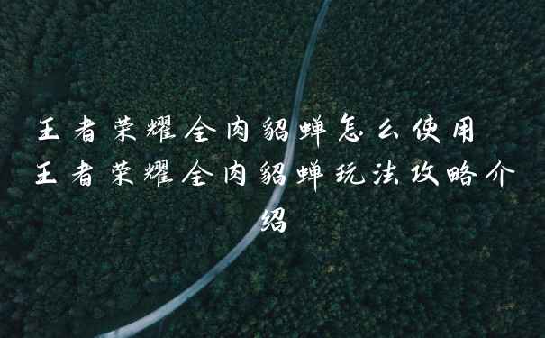 王者荣耀全肉貂蝉怎么使用 王者荣耀全肉貂蝉玩法攻略介绍