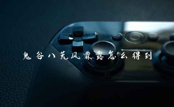 鬼谷八荒风霖露怎么得到