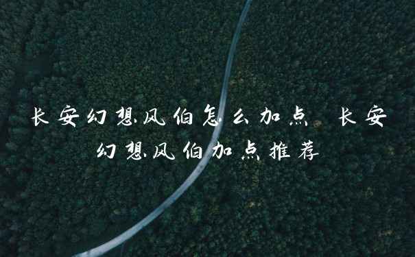 长安幻想风伯怎么加点 长安幻想风伯加点推荐