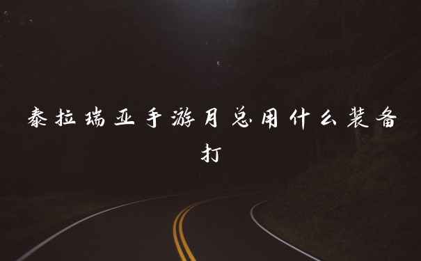 泰拉瑞亚手游月总用什么装备打