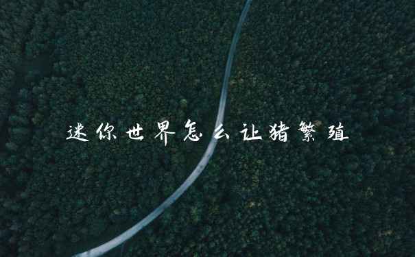 迷你世界怎么让猪繁殖