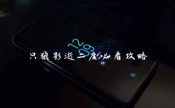 只狼影逝二度必看攻略