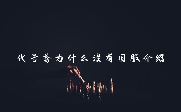 代号鸢为什么没有国服介绍