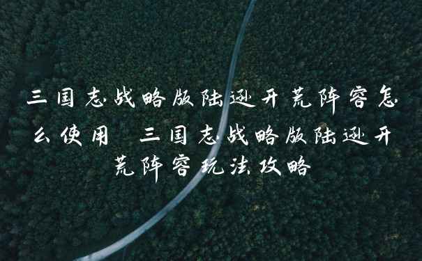 三国志战略版陆逊开荒阵容怎么使用 三国志战略版陆逊开荒阵容玩法攻略