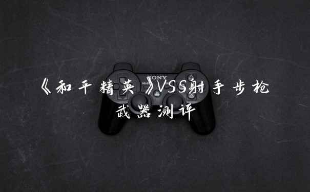 《和平精英》VSS射手步枪武器测评