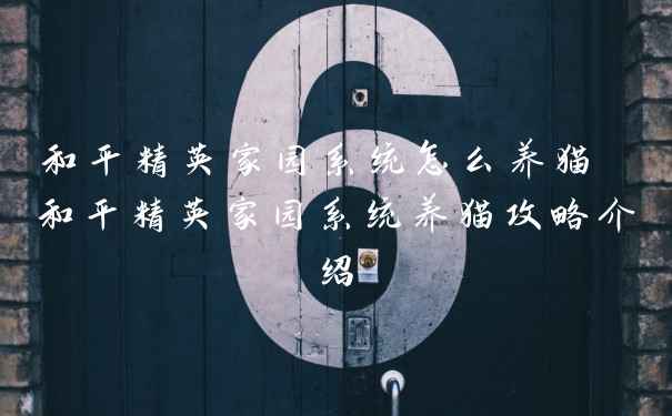 和平精英家园系统怎么养猫 和平精英家园系统养猫攻略介绍