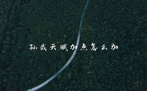 孙武天赋加点怎么加