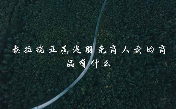 泰拉瑞亚蒸汽朋克商人卖的商品有什么