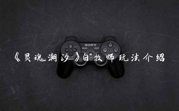 《灵魂潮汐》白牧师玩法介绍