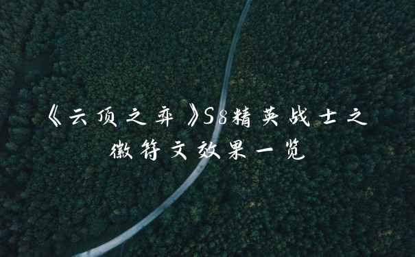 《云顶之弈》S8精英战士之徽符文效果一览