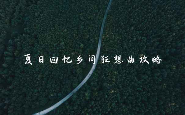 夏日回忆乡间狂想曲攻略
