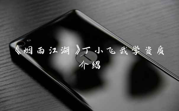 《烟雨江湖》丁小飞武学资质介绍