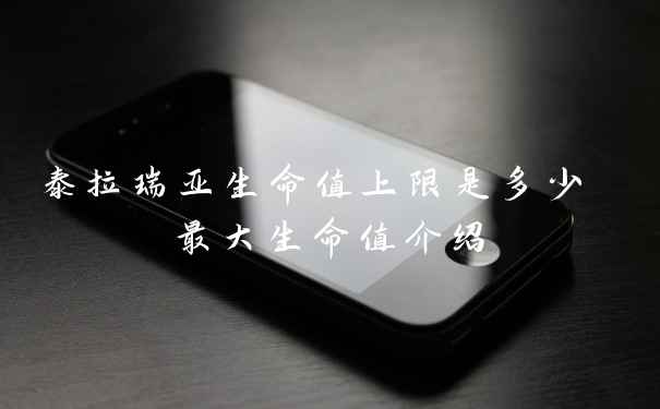 泰拉瑞亚生命值上限是多少 最大生命值介绍