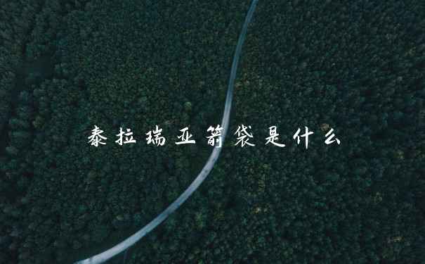 泰拉瑞亚箭袋是什么