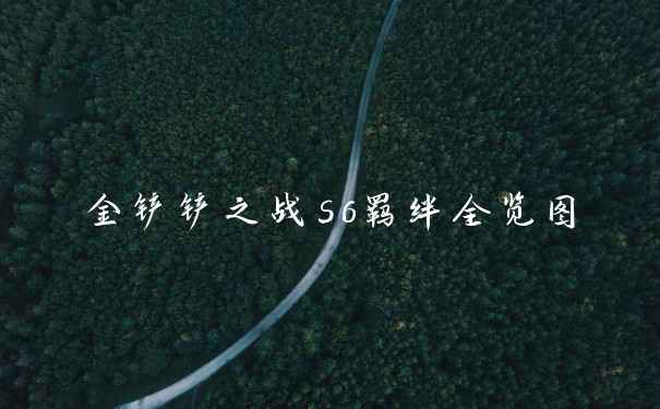 金铲铲之战s6羁绊全览图
