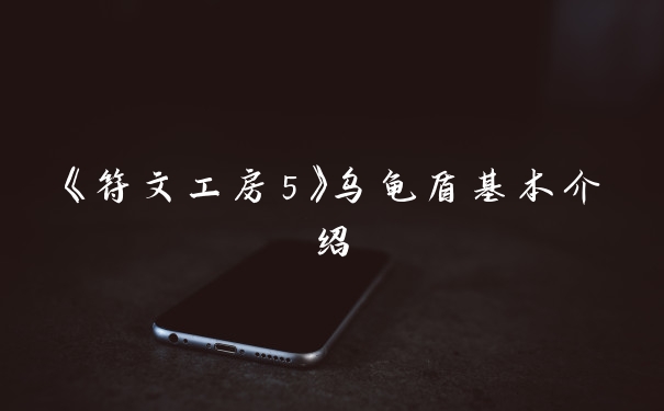 《符文工房5》乌龟盾基本介绍