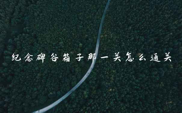 纪念碑谷箱子那一关怎么通关