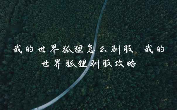 我的世界狐狸怎么驯服 我的世界狐狸驯服攻略