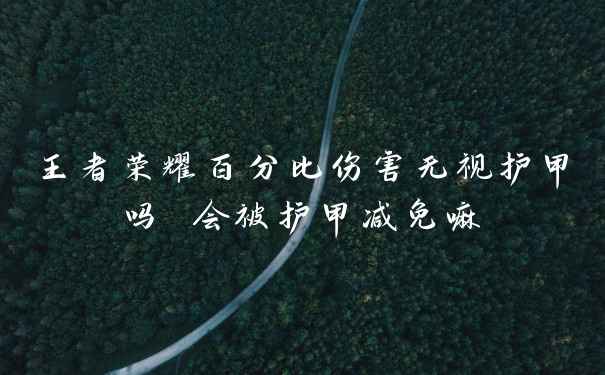 王者荣耀百分比伤害无视护甲吗 会被护甲减免嘛