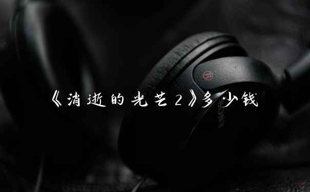 《消逝的光芒2》多少钱