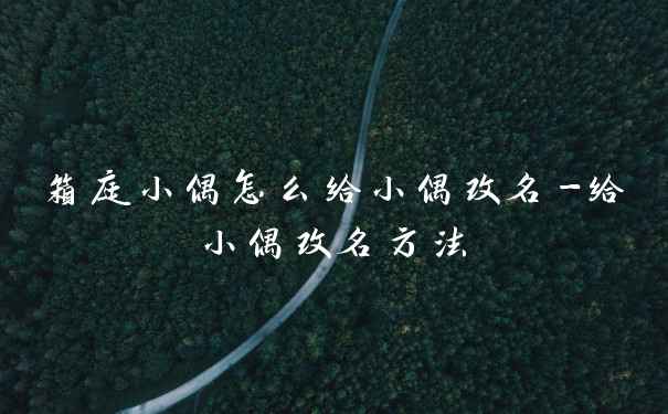 箱庭小偶怎么给小偶改名-给小偶改名方法